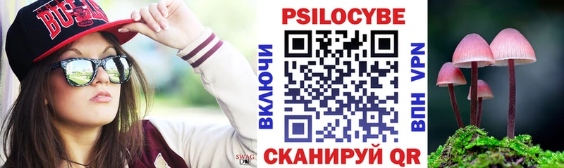 что такое   Элиста  ссылка на мегу ONION  Псилоцибиновые грибы мухоморы 